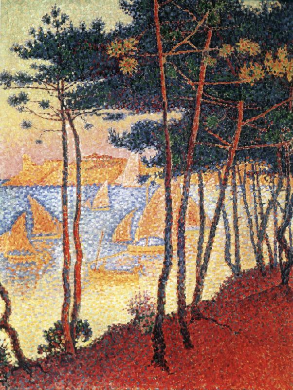saint tropez sails and pines oil painting image